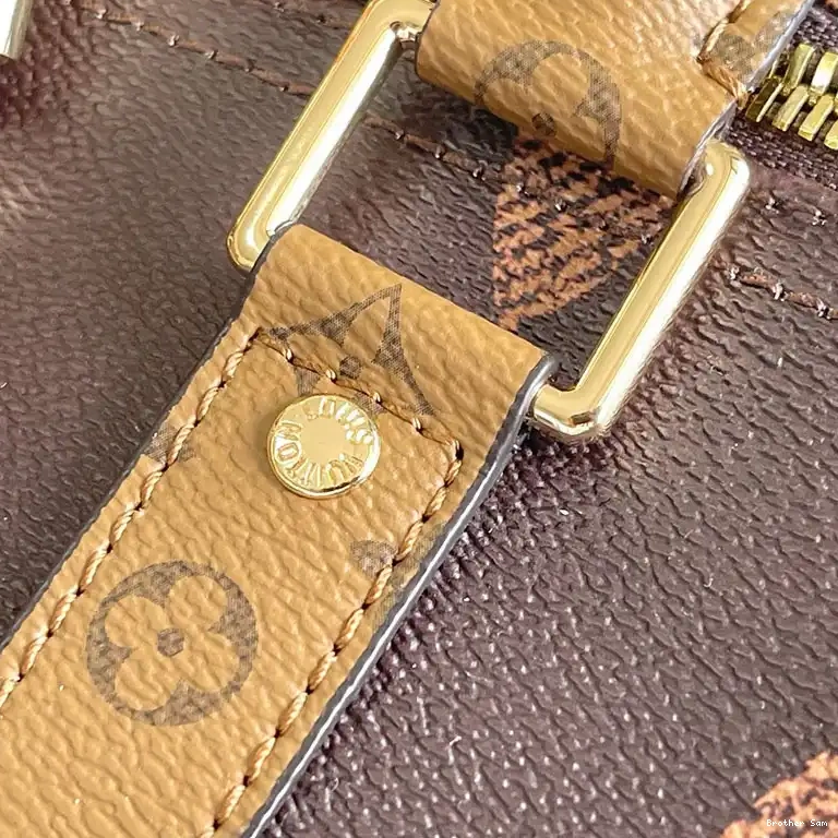 Brother Sam 2410YA0019 LV Bags 0813